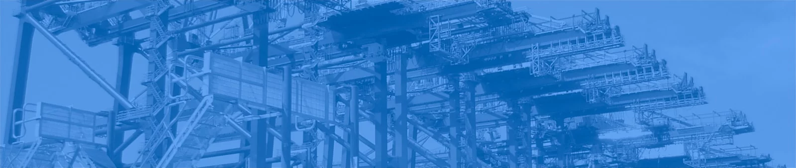 Maritime Consulting & Management