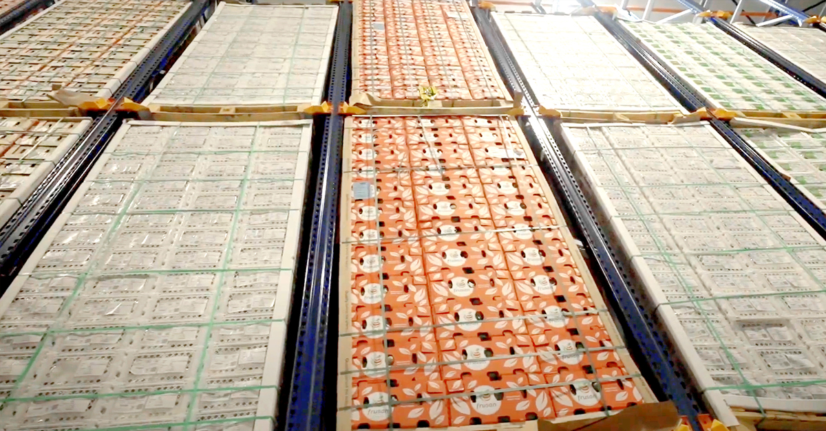 Gracias a esta certificación, la compañía está capacitada para gestionar productos ecológicos que requieran una refrigeración controlada.